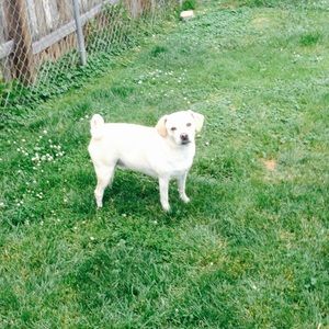 Meet your Posher, Lindsey